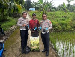 Satlantas Polres Kuningan Salurkan Bibit Jagung, Dukung Swasembada Pangan Nasional