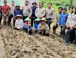 Sat Lantas Polres Kuningan Gotong Royong Olah Lahan, Dukung Ketahanan Pangan Nasional