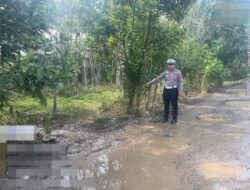 Polisi Gerak Cepat Tangani Kecelakaan Tunggal Truk Pengangkut Ternak di Banjit Way Kanan
