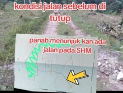 Dikelilingi Pagar Pengusaha Durian, Warga Dusun Beranti Keluhkan Akses Jalan Tertutup Sejak 4 Tahun Lalu
