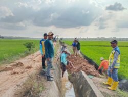 Kepala Kampung dan Warga Pisang Indah Bersama Petugas Irigasi Bergotong Royong Jamin Aliran Air Sawah