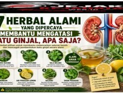 7 Herbal Alami yang Dipercaya Membantu Mengatasi Batu Ginjal, Apa Saja?