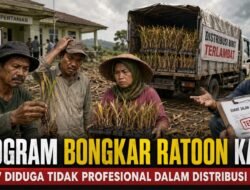 Program Bongkar Ratoon Kacau, Petani Minta Menteri Pertanian Coret 2 CV yang Diduga Tidak Profesional”