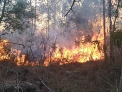 Waspada Musim Kemarau: Potensi Kebakaran Hutan Meningkat, Masyarakat dan Pemkab Way Kanan Diminta Bersiap