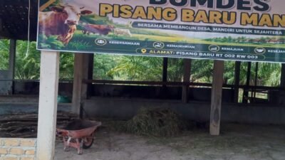 Diduga Pengelolaan Kegiatan di Bundes Pisang Baru Bumi Agung Sepihak, Warga Sebut Kepala Kampung Bertindak Sendiri Tanpa Libatkan Kelompok