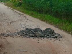 Batu Petrun di Badan Jalan Anjung Ganjang – Silomlom Ancam Keselamatan Pengendara sepeda Motor