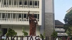 Ketua PDHI Sumsel: Kemerdekaan Bukan Sekadar Perayaan, tetapi Semangat untuk Terus Mengabdi